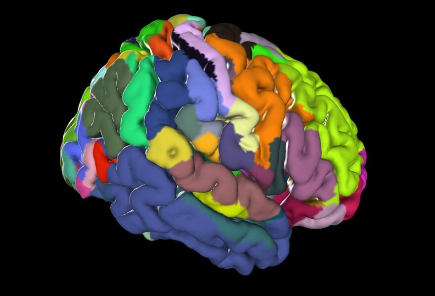 Brain with Probabilistic Highlighting